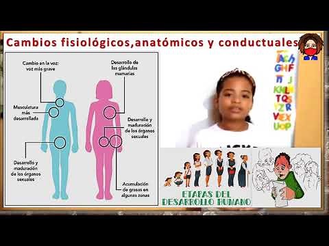 Semana 30: C. Naturales - Los cambios fisiológicos, anatómicos y conductuales durante la pubertad.