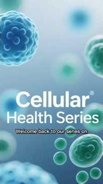 The Autophagy Timeline: What Happens to Your Cells at 12, 18, 24, & 48 Hours?