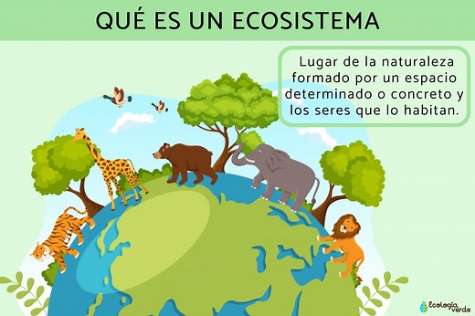Qué es un ecosistema para niños - Definición, funcionamiento, tipos y más