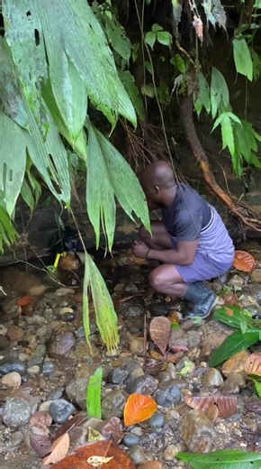 Incredible Nature Discoveries in Selva