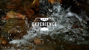 7.4K views · 81 reactions | We recently took 8 CLUB Members into the mountains of Idaho for a behind-the-scenes look into the craftsmanship of Seekins Precision. Let’s just say that ringing steel never sounded so good. Click to learn more: https://bassp.ro/2ZkRApO | Bass Pro Shops | Facebook