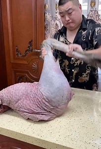 Amazing Unique Cooking With Natural Life | Restoration Testing