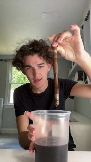 24 Hour Experiment: Testing Rust Removal Techniques