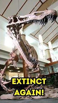 Suchomimus Has Gone Extinct…Again!
