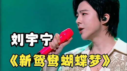 2025湾区升明月刘宇宁演唱电视剧《包青天》主题曲《新鸳鸯蝴蝶梦》