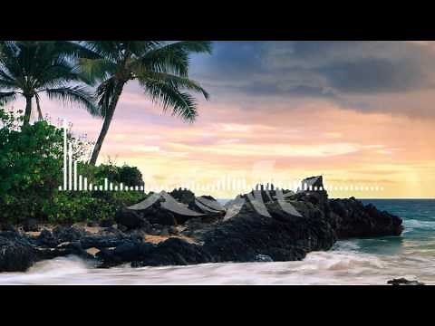 Aer - Says She Loves Me [Lyrics]