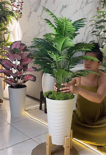 Free Pot Free Moss Grass na! #livehighlights #tiktoklive #artificialplants #homedecor #homeimprovement