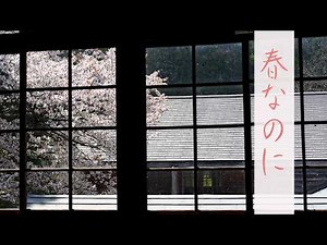 春なのに/宮本浩次