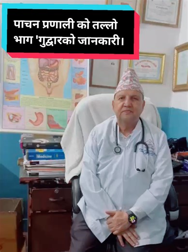 Understanding the Rectum: Anatomy and Function