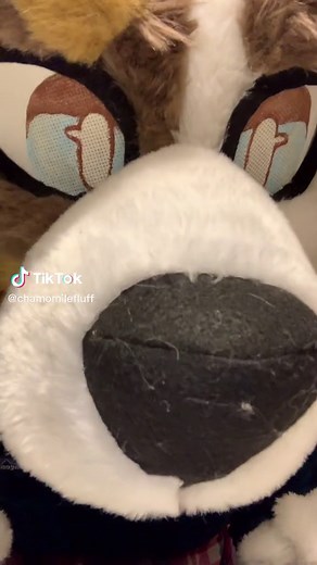 Fursuit Fart Fun: A Celebration in the Furry Fandom