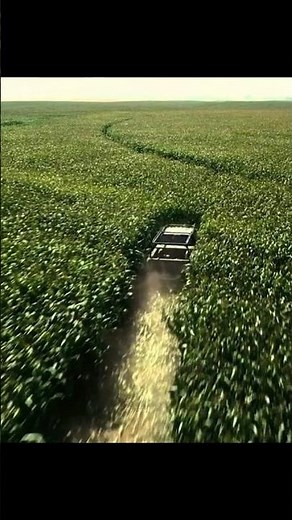 For Interstellar, Nolan Made a Large Cornfield