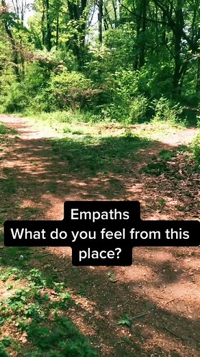 #empath #intuitive #psychic #medium #lightworkers #developmemt #seers #feel #intuition #oracleofapollo #energy #iCarlyAffirmation