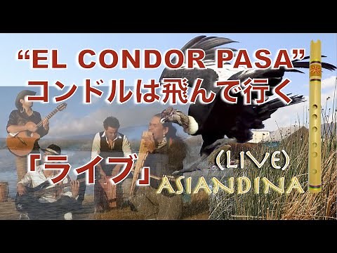 フォルクローレ ケーナ曲ライブ「コンドルは飛んでいく」El Condor Pasa
