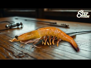 Targeting Big Reef Fish? Try This Prawn Rigging Master Technique | Step Outside with Paul Burt