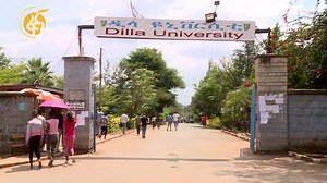 በዲላ ዩኒቨርሲቲ የአዲሱ የትምህርት ፍኖተ ካርታ አተገባበር በፋና ቴሌቪዥን የተዘገበ | Dilla University