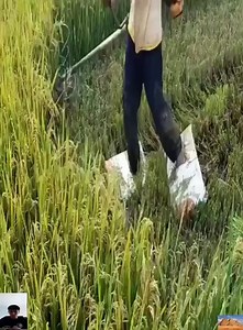 1.1M views · 904 reactions | Smart People Work Very Fast | Amazing Videos | Facebook