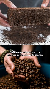 How nuclear magnetic resonance spectroscopy is used to identify compounds in peat and coffee. | IFLScience