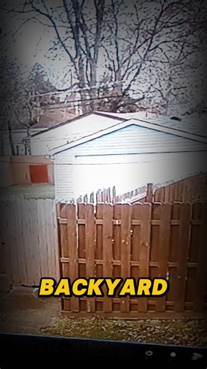 Security Cameras Record Neighbor_s Pool! part 2 | The Real Judge Judy Fans