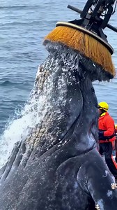 25M views · 232K reactions | The Imaginary Art Exhibit on Reels | Facebook