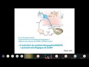 Mise au point de puberté précoce ou tardive