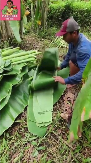 Unbelievable! Making Plates & Cups from Banana Leaves | Eco-Friendly Magic! Banana Leaf Plates & Cup