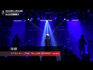 ラブモンキー 球根 -LIVE VANQUISH,2025.11.24-