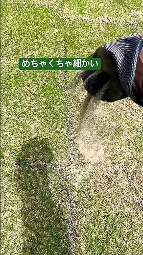 芝生用の目砂を入手！さっそく使ってみた！続きはブログで！