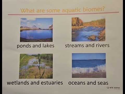 Classical Conversations Cycle 2 Week 8 science aquatic biomes tune: amazing grace