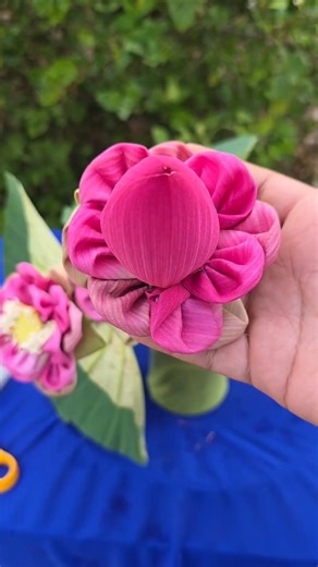 Lotus Flower Hairstyle 🌸 Simple hairstyle with a touch of beauty ✨ #eleganthair #flowerbraid