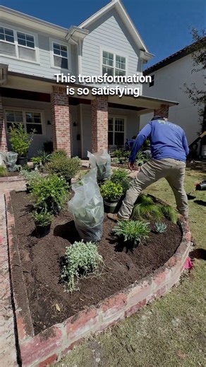 Flower Bed Transformation