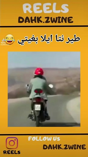 dahk zwine sur TikTok