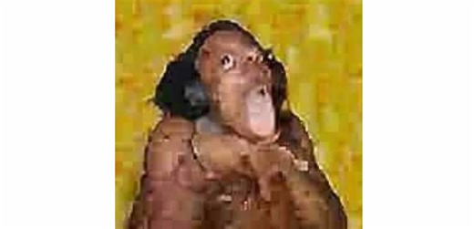 Humorous Son Moments in Animatic Battle