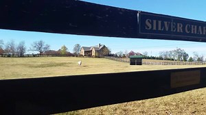 16K views · 877 reactions | Your Friday run for fun brought to you by the one and only Silver Charm! | Old Friends | Facebook