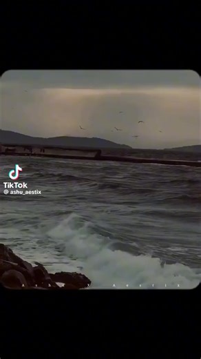 sad herry girl 2 🥺 (@sad.herry.girl.2)’s videos with original sound - sad herry girl 2 🥺