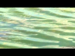 65 days of static - radio protector