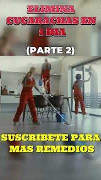 Elimina Cucarachas en 1 Día 🪳 (Remedios Naturales que SÍ Funcionan) - PARTE 2