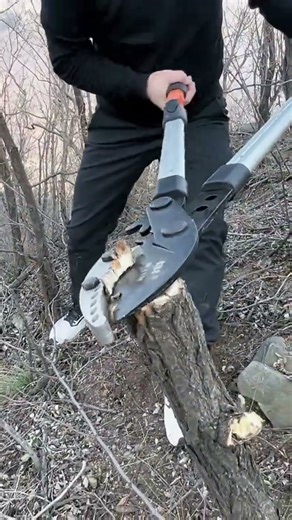 Gear-assisted pruning shears #ShareGoodTools #GardeningToolsSupportAgriculture