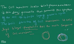 What is meant by cell membrane and their functions ,types and s... | Filo