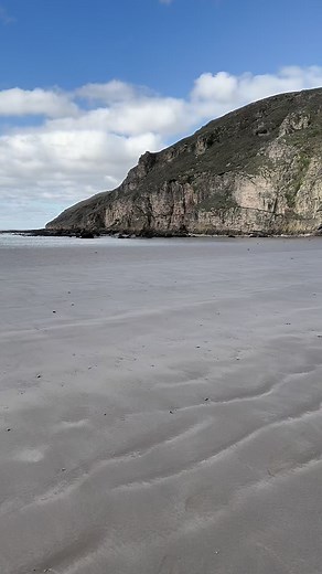 Happy Saturdays enjoying a lovely walk on our gorgeous dog friendly beach in Brean. 🐾 What’s your favourite thing to do on a sunny November Saturday? #saturdayvibes #novemberdays #sunnysaturdays #brean #thingstodoinsomerset #somersetcoastline | Visit Brean