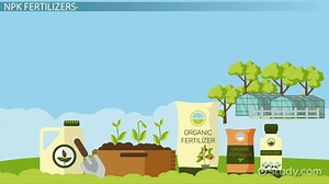 NPK Fertilizer | Meaning, Uses & Ratio - Video | Study.com