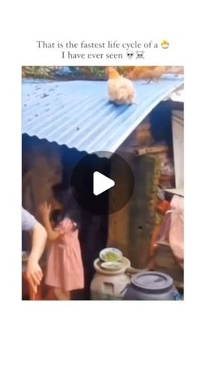 👑 on Instagram: "How to write the perfect Instagram caption 1. Make the most of the first sentence After a couple lines of text, Instagram hides the rest of your caption behind a “more” link, so include important details in the beginning. Only about the first sentence will be seen in a user’s Instagram feed, so make sure it’s compelling or asks a question—and don’t put your call to action at the end. 2. Include a CTA or ask a question Each post should have a purpose and intention, so lead each 