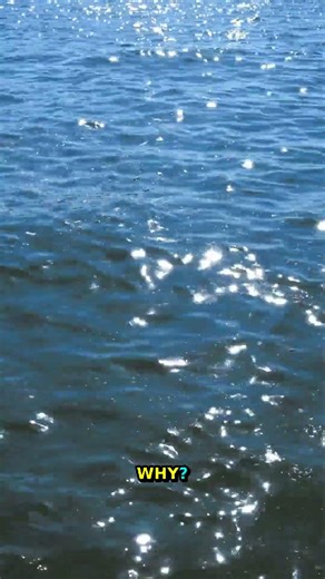 Visual Science | The Hidden Connection Between Art And Science