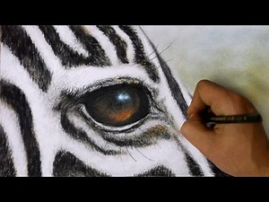 How to Draw a Zebra - Realistic zebra face