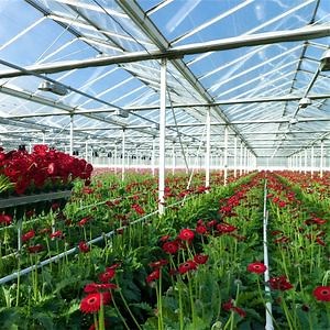 [Hot Item] Modern Glass Greenhouse for Blooming Flowers Protected Horticulture Green House