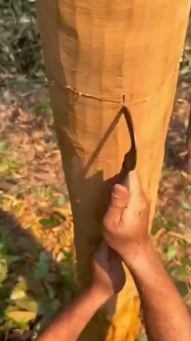 Fastest Workers in Action