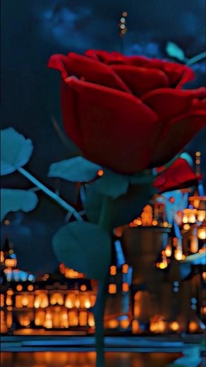 Beauty and the Beast | Magical Love Story 30s | Disney Fantasy Short