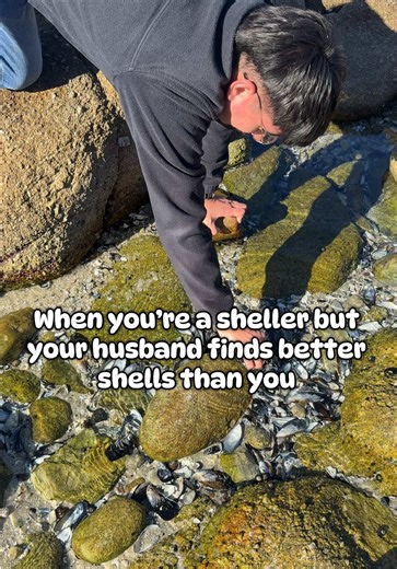 Discovering Unique Shells Together While Traveling