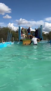 16K views · 1.5K reactions | Pool party fun! | Canine Dip and Dive Maldon | Facebook