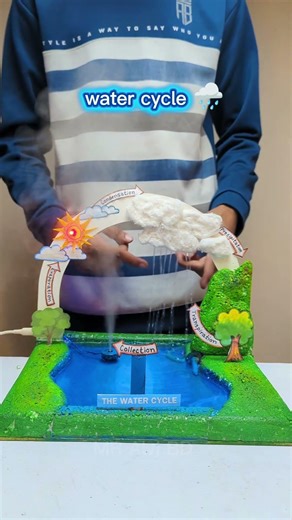 Water Cycle Model ! 1st Prize Winning Science Project #schoolproject #science #reels #shorts
