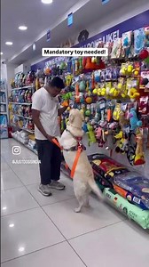 Shopping at JUSTDOGS MOTERA | PET STORE